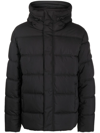 ZADIG & VOLTAIRE PADDED HOODED JACKET