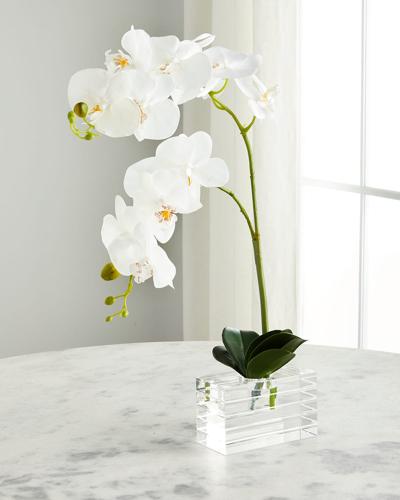 Exclusive Crystal Clear Orchids Arrangement