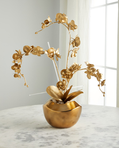 Exclusive Golden Wave Orchid Arrangement