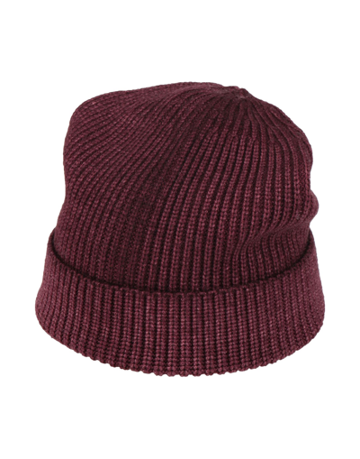 Altea Hats In Maroon