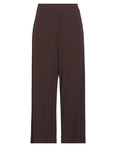 Clips Pants In Dark Brown