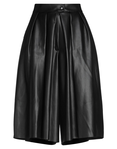 Dixie Cropped Pants In Black