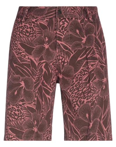 Beaucoup .., Man Shorts & Bermuda Shorts Brown Size 34 Cotton, Elastane In Brown