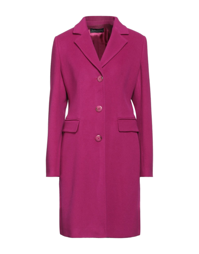 Caractere Coats In Purple