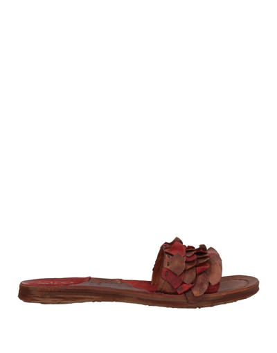 A.s. 98 Sandals In Brown