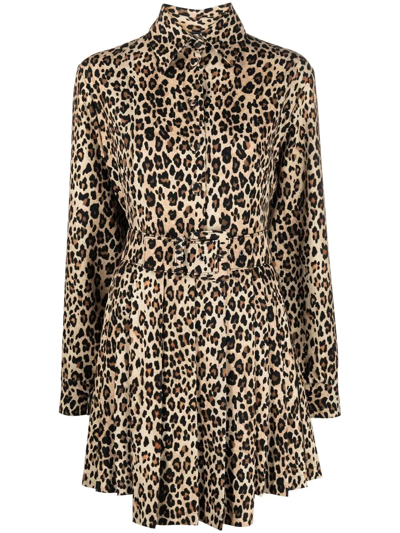 Ermanno Scervino Belted Leopard-print Mini Shirtdress In Brown