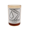 D.s. & Durga Big Sur After Rain Candle, 7 oz In N/a