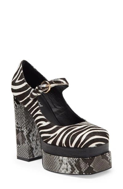 Jeffrey Campbell Chillin Genuine Calf Hair Platform Pump In Black White Zebra Multi
