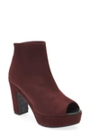 Cordani Tyra Peep Toe Platform Bootie In Bordo Stretch Suede In Barolo Stretch Suede