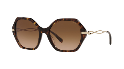 Coach Brown Gradient Geometric Ladies Sunglasses Hc8315 512074 57 In Brown / Dark / Tortoise