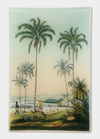John Derian Bresil Decoupage Rectangular Tray