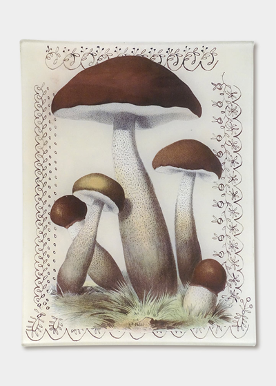 John Derian Mushroom With Lace Rectangular Tray In Multi