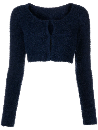 Alix Nyc Phoenix Long-sleeve Crop Top In Blue