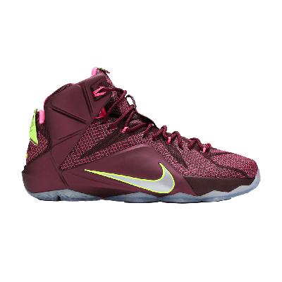 Pre-owned Nike Lebron 12 'double Helix' In Purple