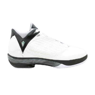 Pre-owned Air Jordan 2009 'white Metallic Silver'