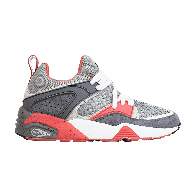 Pre-owned Puma Staple X Blaze Of Glory Og 'pigeon' In Grey