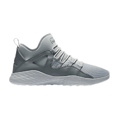 Pre-owned Air Jordan Jordan Formula 23 'cool Grey'