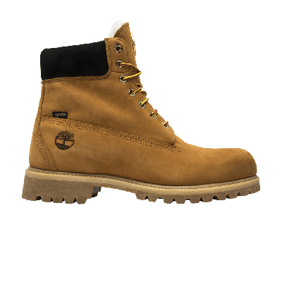 Pre-owned Timberland Ovo X 6 Inch Premium Boot 'wheat' In Tan
