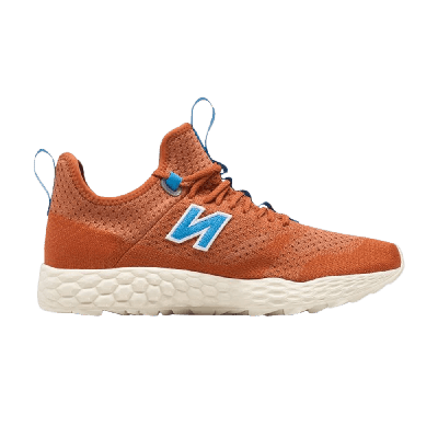 Pre-owned New Balance Concepts X Trailbuster Fresh Foam 'des Sables' In Brown