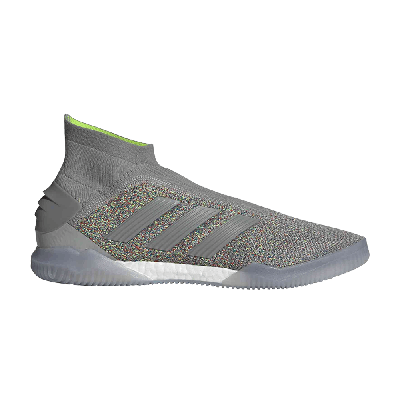 Pre-owned Adidas Originals Predator 19+ Tr 'oddity Pack - Grey'