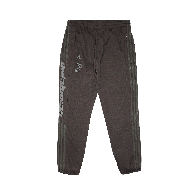 Pre-owned Adidas Originals Adidas Calabasas Track Pant 'umber' In Brown