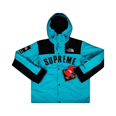 Pre-owned Supreme X The North Face Arc Logo Mountain Parka 'teal'
