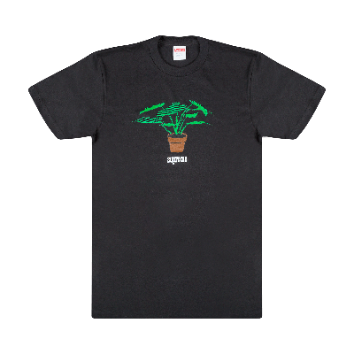 Pre-owned Supreme Plant T-shirt 'black'