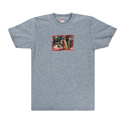Pre-owned Supreme Girl T-shirt 'grey'