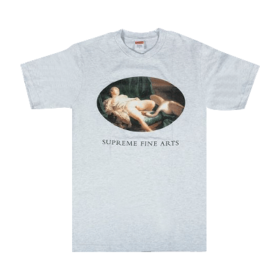 Pre-owned Supreme Leda And The Swan Tee 'ash Grey'
