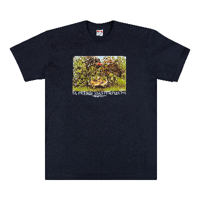 Pre-owned Supreme Masterpieces Tee 'navy' In Blue