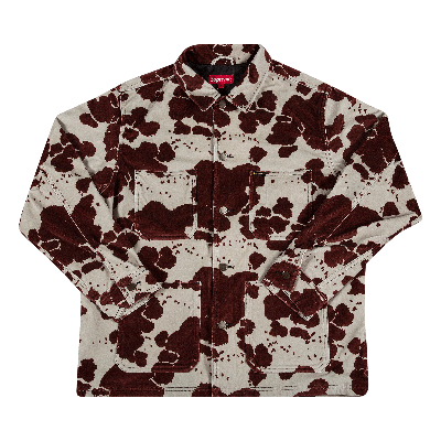 Pre-owned Supreme Velvet Chore Coat 'cow' In Multi-color