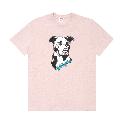 Pre-owned Supreme Pitbull Tee 'heather Pink'