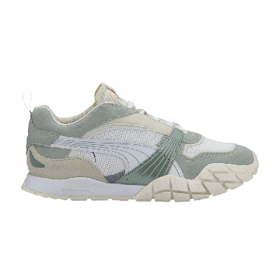 Pre-owned Puma Wmns Kyron 'wild Beasts - Aqua Grey'