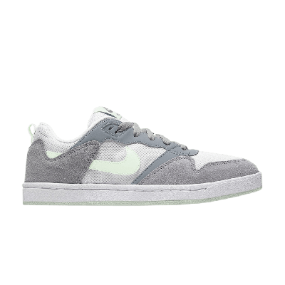 Pre-owned Nike Wmns Alleyoop Sb In Grey