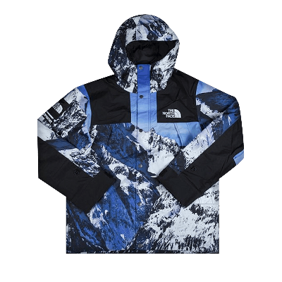 Pre-owned Supreme X The North Face Mountain Parka 'mountain Print' In Blue