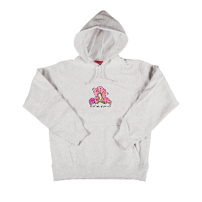 Pre-owned Supreme Don't Care Hooded Sweatshirt 'heather Multi' In Grey