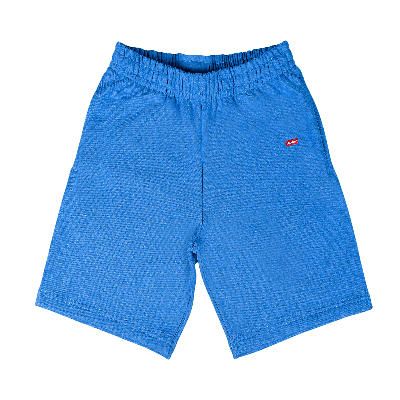 Pre-owned Supreme Small Box Sweatshort 'bright Blue'