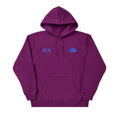 Pre-owned The North Face X Kaws Pullover Hoodie 'pamplona Purple'