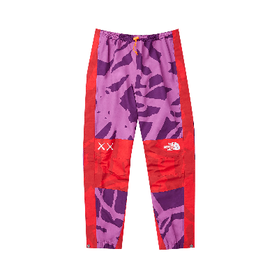 Pre-owned The North Face X Kaws Mountain Light Pant 'pamplona Purple'