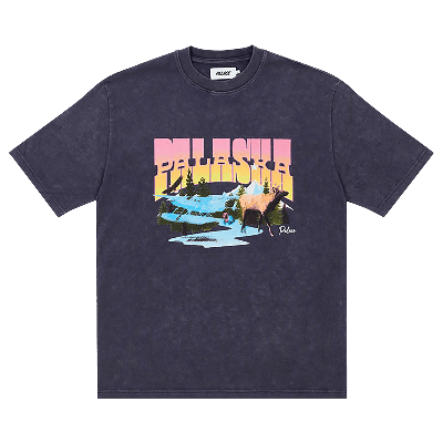 Pre-owned Palace Palaska Dye T-shirt 'purple'