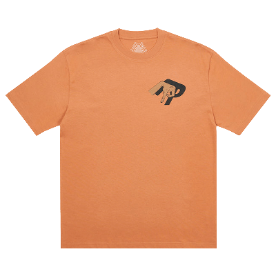 Pre-owned Palace Valley Of The Shadows T-shirt 'caramel' In Orange