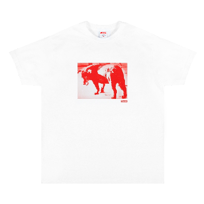 Pre-owned Supreme Daid_ Moriyama Dog Tee 'white'