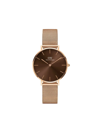 Daniel Wellington Petite Amber 28mm Watch In Braun
