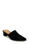 SPLENDID LYN SUEDE MULE HEEL