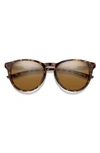 Smith Wander 55mm Chromapop™ Polarized Round Sunglasses In Tortoise / Brown