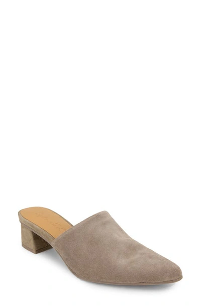 Splendid Women's Lorelei Mules In Ermine