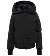 CANADA GOOSE CHILLIWACK羽绒派克大衣