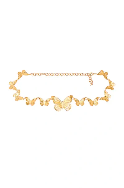 Blumarine Butterfly Chain Belt In Gold