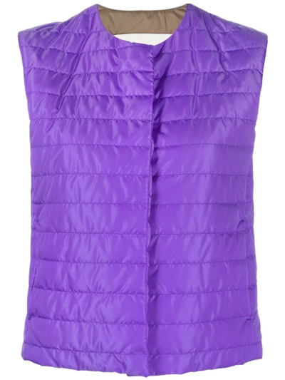 Mackintosh Isabel Collarless Liner Vest In Purple