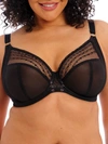 Elomi Matilda Full Figure Underwire Plunge Bra In Disco Kiss